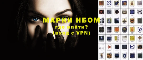 шишки Алексин