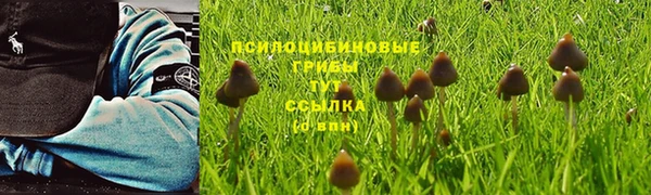 дурь Армянск